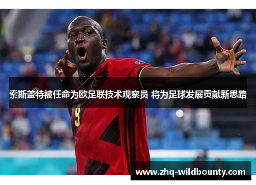 索斯盖特被任命为欧足联技术观察员 将为足球发展贡献新思路
