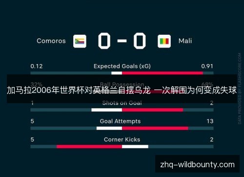 加马拉2006年世界杯对英格兰自摆乌龙 一次解围为何变成失球